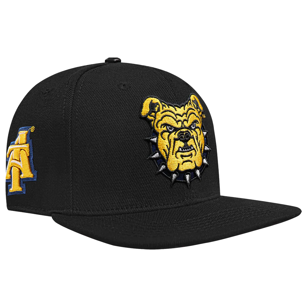 NORTH CAROLINA A&T STATE UNIVERSITY CLASSIC PRIMARY LOGO WOO