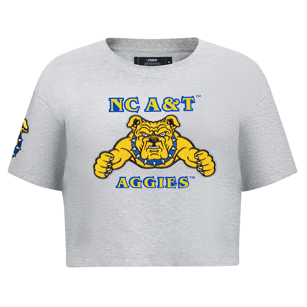 NORTH CAROLINA A&T STATE UNIVERSITY CLASSIC WOMEN'S SINGLE JERSEY BOXY TEE