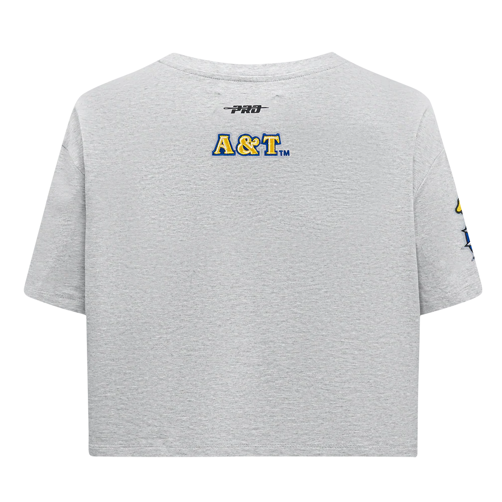 NORTH CAROLINA A&T STATE UNIVERSITY CLASSIC WOMEN'S SINGLE JERSEY BOXY TEE
