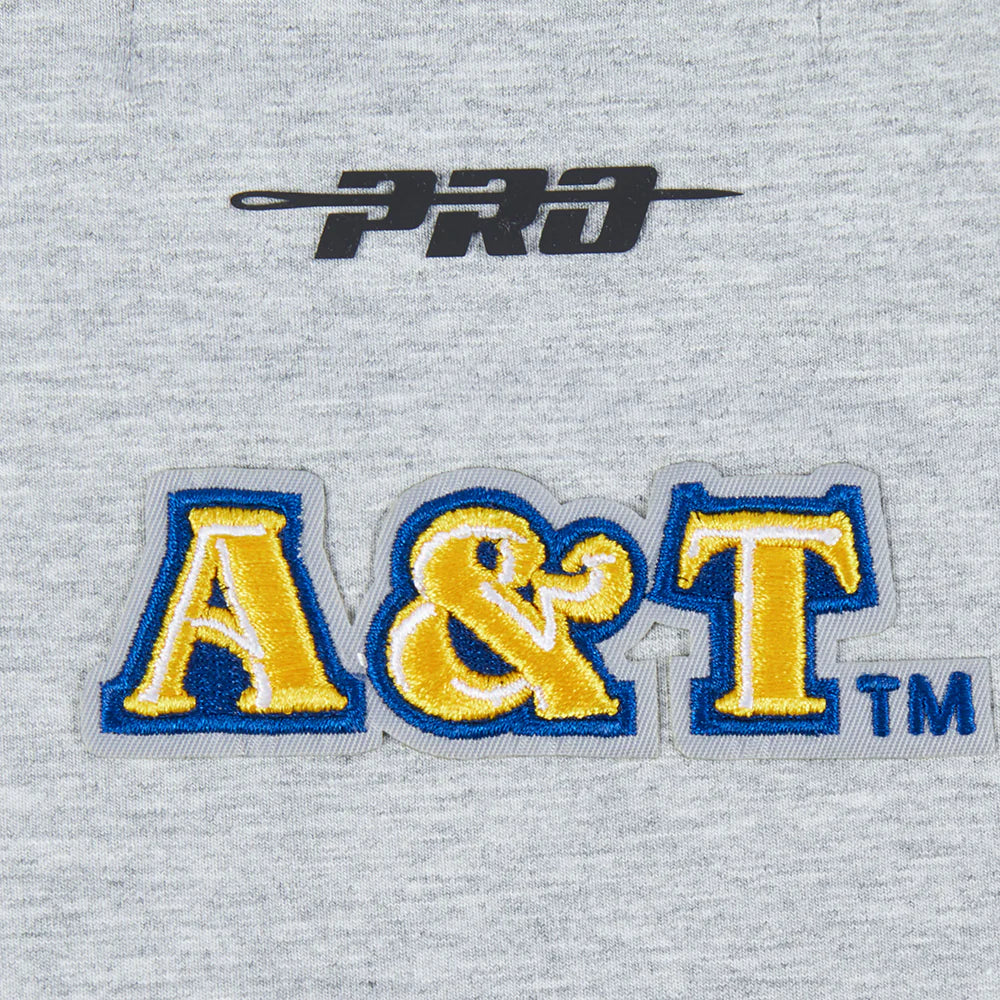 NORTH CAROLINA A&T STATE UNIVERSITY CLASSIC WOMEN'S SINGLE JERSEY BOXY TEE