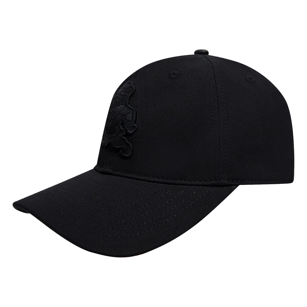 SOUTH CAROLINA STATE UNIVERSITY NEUTRAL MEN'S DAD HAT