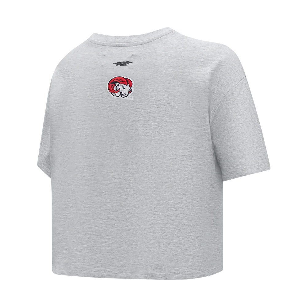 WINSTON-SALEM STATE UNIVERSITY CLASSIC WOMEN'S SINGLE JERSEY BOXY TEE