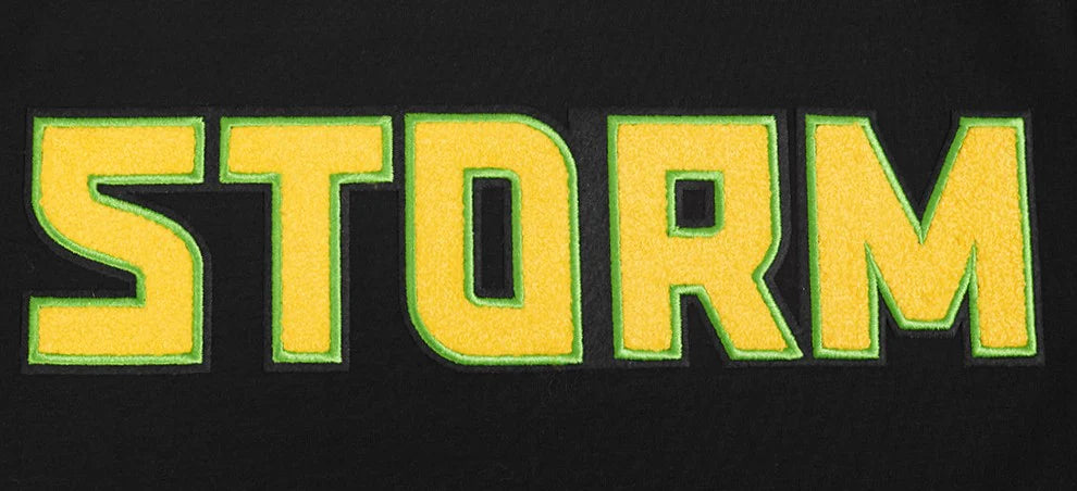 WNBA SEATTLE STORM CLASSIC CHENILLE MEN'S SINGLE JERSEY TEE