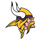  Minnesota vikings